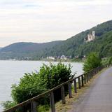 1907G 084 Rhein Radweg